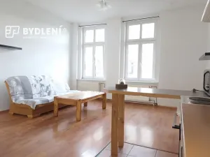 Pronájem bytu 1+1, Teplice, Revoluční, 48 m2