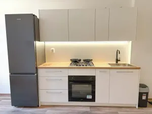 Pronájem bytu 4+1, Praha - Nové Město, Vyšehradská, 103 m2
