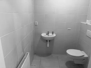 Pronájem obchodního prostoru, Brno - Zábrdovice, Cejl, 135 m2