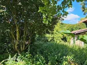 Prodej rodinného domu, Drhovle, 198 m2