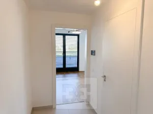 Pronájem bytu 2+kk, Praha - Žižkov, Kaplířova, 53 m2