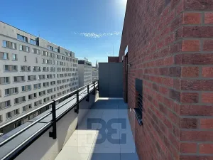 Pronájem bytu 2+kk, Praha - Žižkov, Kaplířova, 53 m2