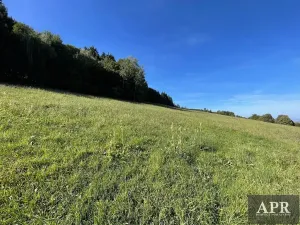 Prodej pozemku pro bydlení, Lopeník, 6165 m2