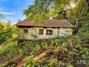 Prodej pozemku pro bydlení, Lopeník, 6165 m2