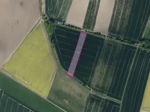 Prodej pole, Uhersko, 11302 m2