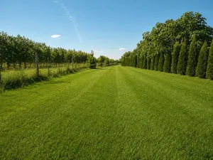 Prodej vícegeneračního domu, Pečky, 280 m2