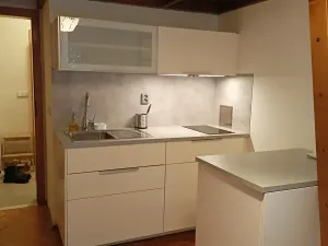 Pronájem bytu 1+kk, Praha - Podolí, Levá, 23 m2