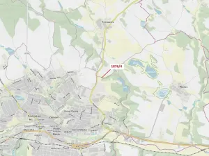 Dražba lesa, Třebíč, 601 m2
