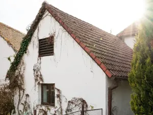 Prodej chalupy, Podmokly, 98 m2