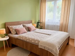 Pronájem bytu 2+kk, Olomouc, Handkeho, 55 m2