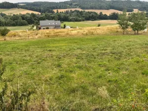 Prodej pozemku, Neveklov - Dalešice, 1333 m2