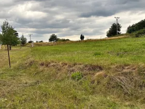 Prodej pozemku, Neveklov - Dalešice, 1333 m2