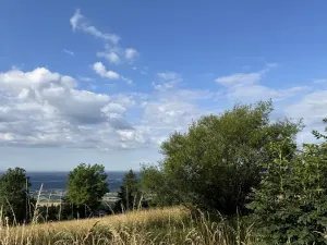 Prodej podílu lesa, Proseč pod Ještědem, 3598 m2