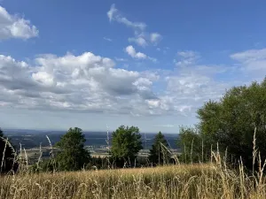 Prodej podílu lesa, Proseč pod Ještědem, 3598 m2