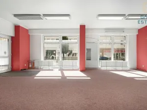 Prodej obchodního prostoru, Holešov, Palackého, 87 m2