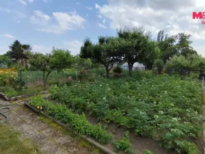 Prodej zahrady, Litvínov - Horní Litvínov, 624 m2