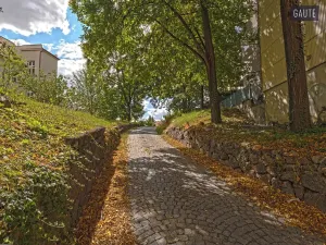 Prodej pozemku pro bydlení, Brno, Slepá, 2919 m2