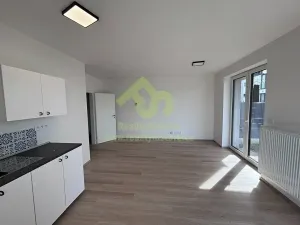Pronájem bytu 1+kk, Dobřany, Denksteinova, 86 m2