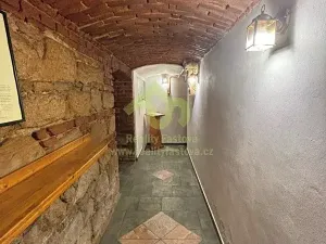 Prodej rodinného domu, Plzeň, Lindauerova, 776 m2