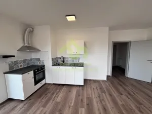 Pronájem bytu 1+kk, Dobřany, Denksteinova, 86 m2
