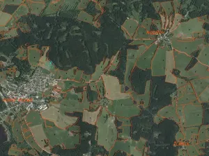 Prodej pole, Horní Planá, 39897 m2