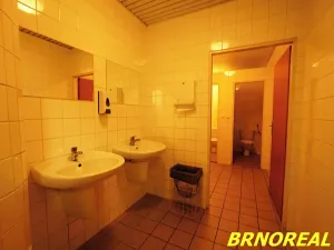 Pronájem kanceláře, Brno, Příkop, 20 m2