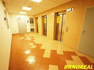 Pronájem kanceláře, Brno, Příkop, 20 m2