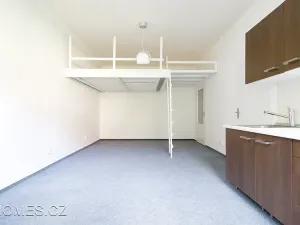 Pronájem bytu 1+kk, Praha - Nusle, U čtyř domů, 31 m2