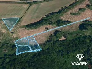 Prodej pole, Holasovice, 5311 m2