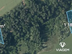Prodej lesa, Chyňava, 1972 m2