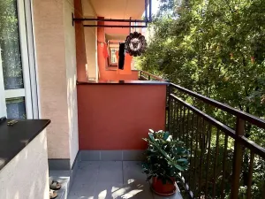 Prodej bytu 1+1, Ostrava - Moravská Ostrava, Lechowiczova, 35 m2