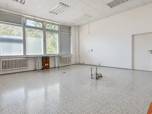 Pronájem skladu, Brno, Šujanovo náměstí, 72 m2