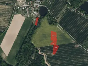 Prodej pole, Svojšice, 4801 m2