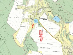 Prodej pole, Svojšice, 4801 m2