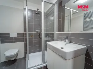 Pronájem bytu 2+kk, Plzeň - Jižní Předměstí, U Borských kasáren, 44 m2