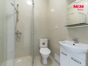 Pronájem bytu 1+kk, Cheb, Havlíčkova, 50 m2
