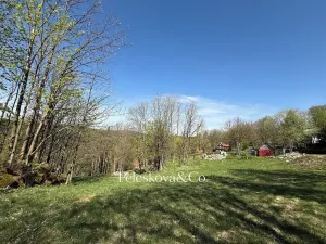 Prodej pozemku pro bydlení, Kořenov, 12296 m2