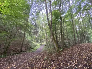 Prodej louky, Strážná, 212 m2