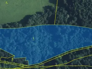 Prodej lesa, Strážná, 11485 m2