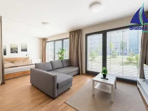 Pronájem bytu 1+kk, Praha - Karlín, Breitfeldova, 45 m2