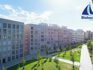 Pronájem bytu 1+kk, Praha - Karlín, Breitfeldova, 63 m2