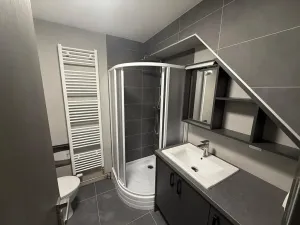 Prodej bytu 2+kk, Plzeň, Rokycanská, 38 m2