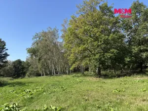 Prodej pozemku pro bydlení, Dubí - Drahůnky, 6184 m2