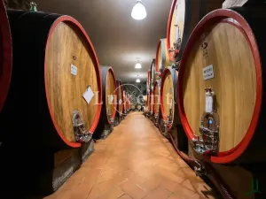 Prodej vily, Castellina in Chianti, Itálie, 1130 m2
