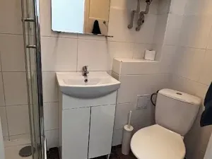 Pronájem bytu 1+kk, Ostrava, Zalužanského, 25 m2