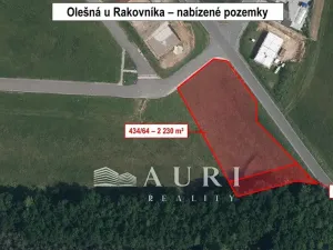 Prodej pozemku pro bydlení, Olešná, 2642 m2