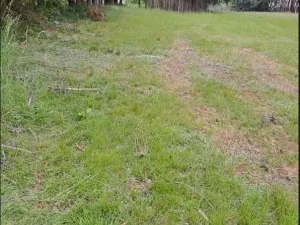 Prodej podílu lesa, Nový Rychnov, 6035 m2