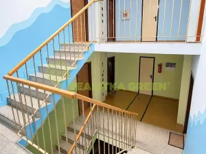 Pronájem bytu 3+1, Valašské Meziříčí, Luční, 66 m2