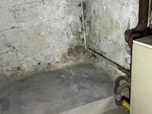 Prodej rodinného domu, Rosice, U Sýpky, 345 m2
