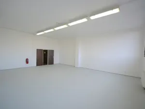 Pronájem skladu, Praha - Žižkov, Malešická, 70 m2